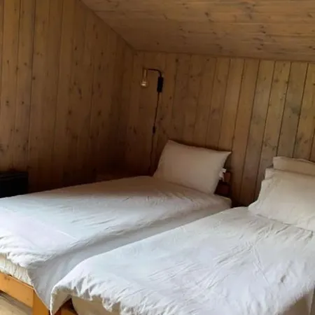 Chalet Luxueux Châtel Exterior foto